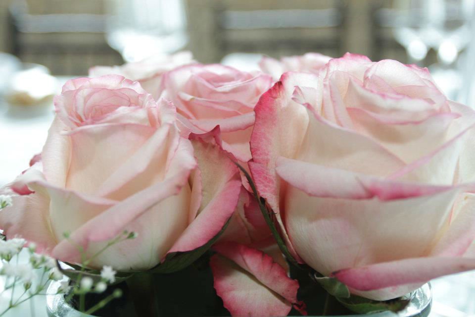 Batizados — rosas cor-de-rosa em decoração de evento